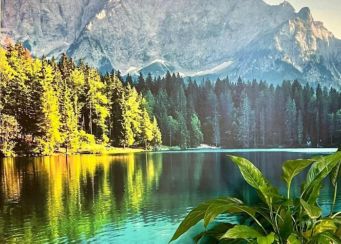 Апартаменты North Shore