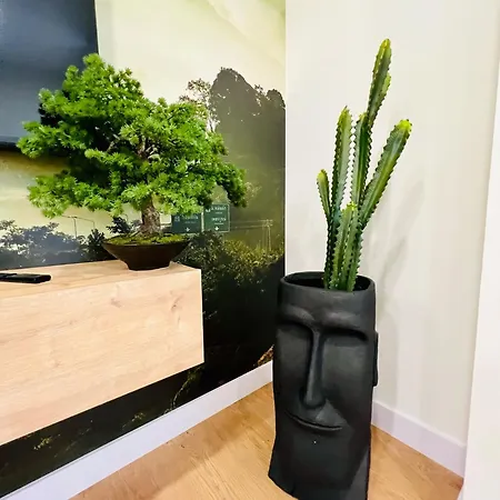 Apartman North Shore *