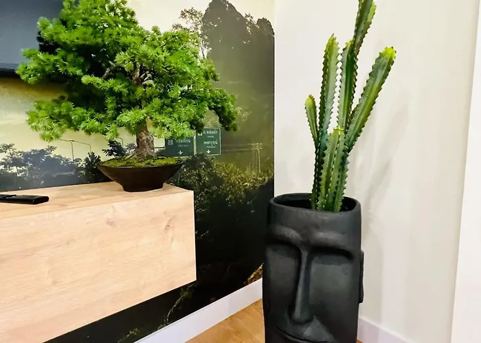 Apartment North Shore *